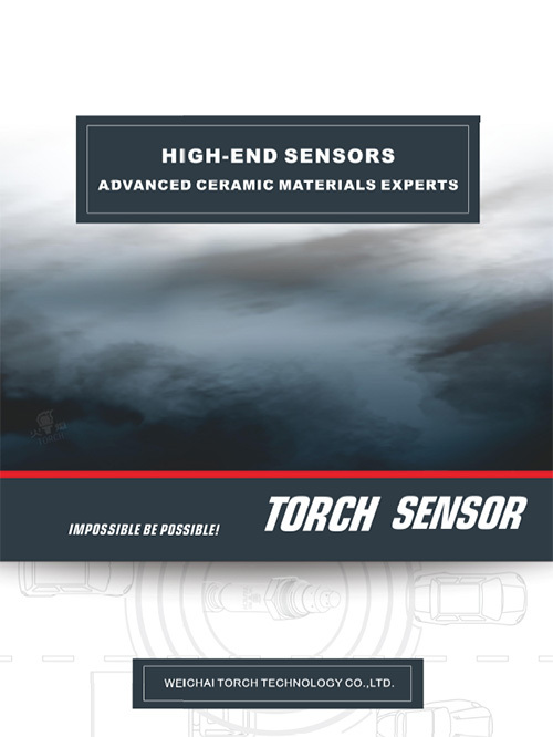 TORCH SENSOR