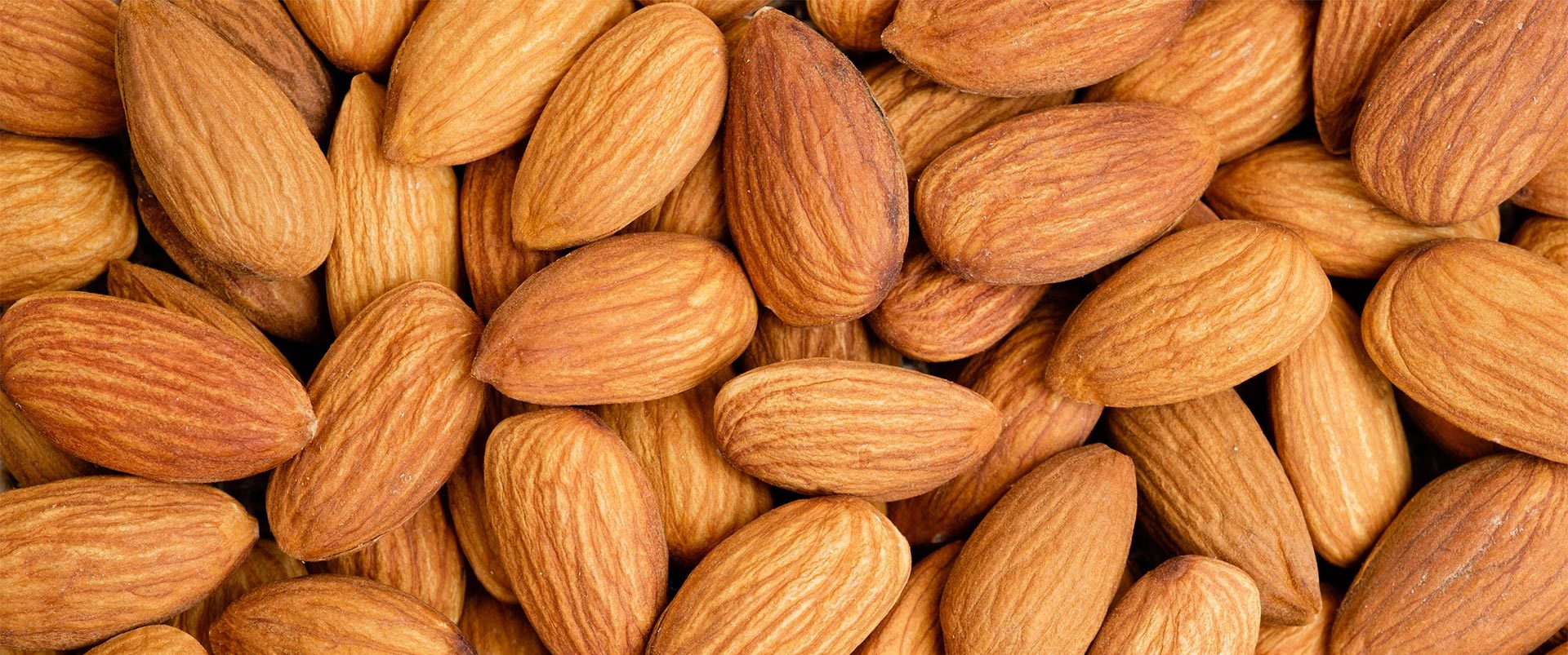 Almond Shelling & Grading Line