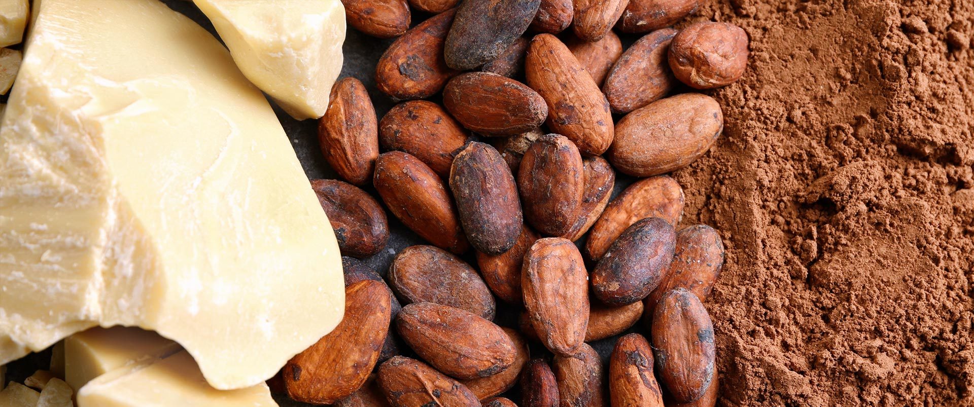 Cocoa Bean Roasting & Peeling Line