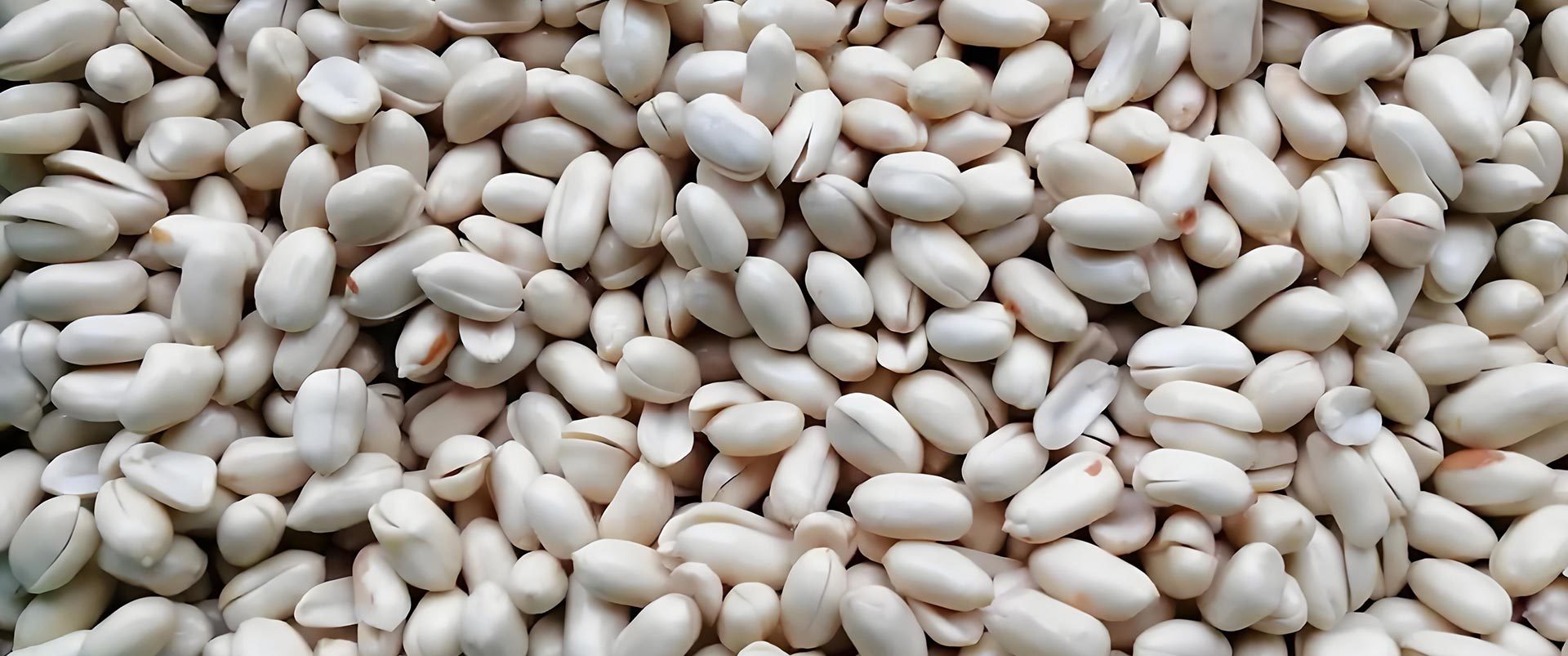 Peanut_Kernel_Processing_Line