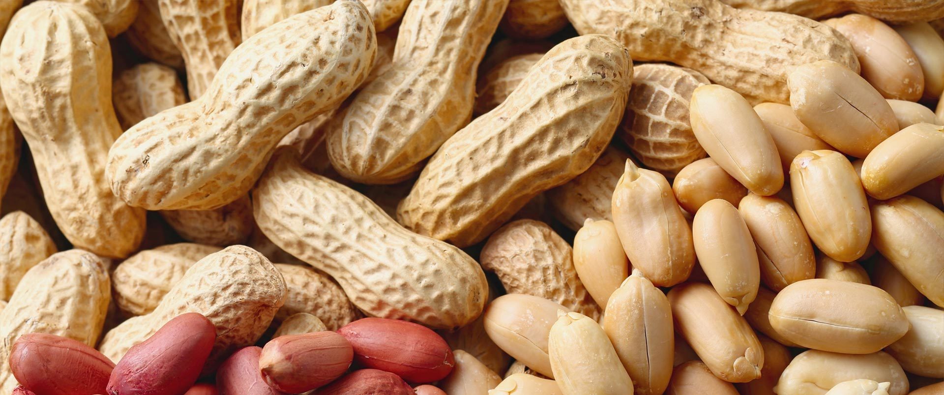 In-shell Peanut Destoning + Peanut Shelling + Kernel Destoning + Grading Production Line