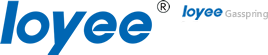 Changzhou Global Gas Spring Co.,Ltd.
