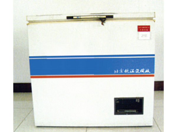 Low temperature container