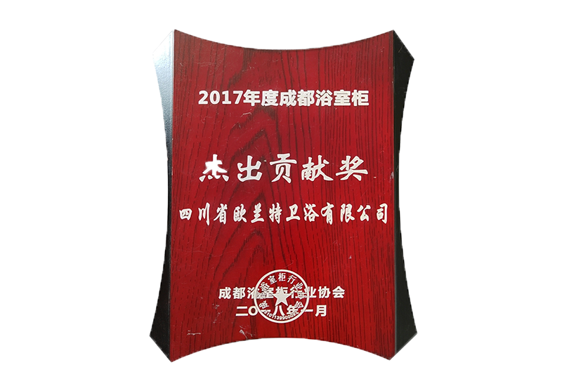 杰出貢獻(xiàn)獎(jiǎng).png