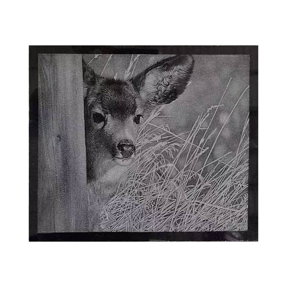 Etching/Painting