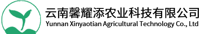 云南馨耀d业科技有限公司
