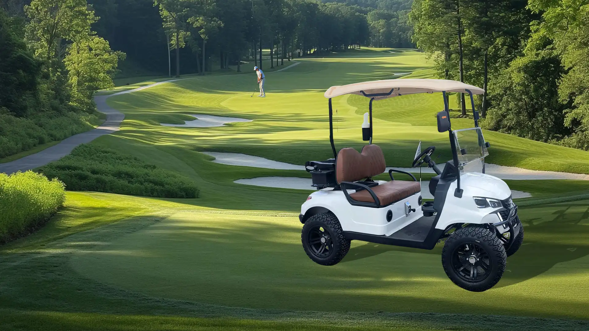 2 seater golf carts for golf playing