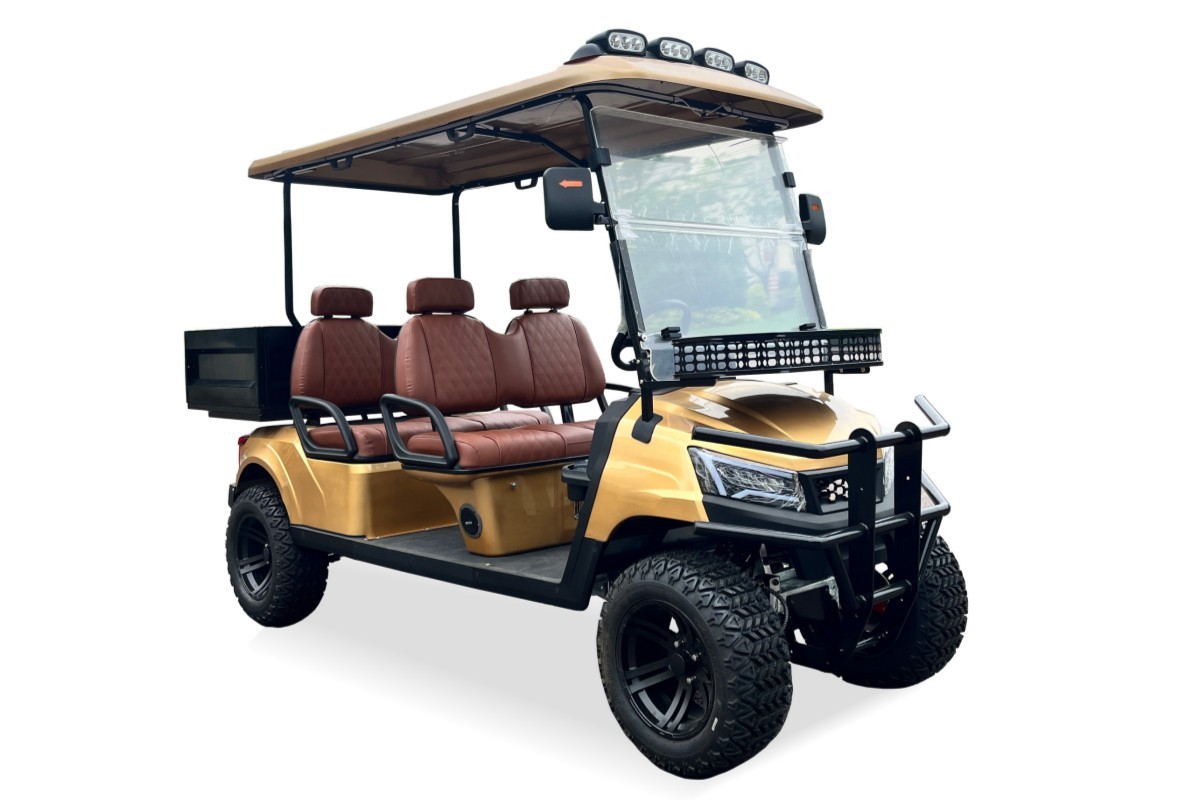 Cargo golf buggy