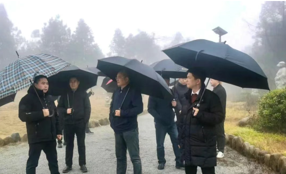 Lv Xiaolan, deputy inspector of the Mining Rights Section of the Zhejiang Provincial Department of Natural Resources, and his party visited Fuqiang Stone's green mine for investigation and research.