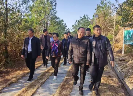 Xu Weize, former vice chairman of the Fujian Provincial Committee of the Chinese People's Political Consultative Conference and president of the Provincial Rural Revitalization Promotion Association, led a team to visit Fuqiang Stone Materials to conduct a research activity to promote rural revitalization.