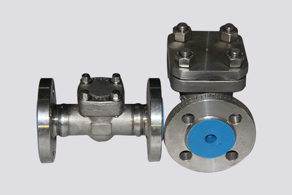 check valve