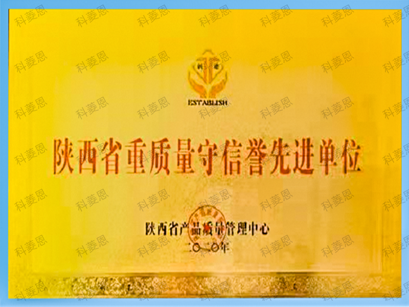 Advanced Unit for Quality and Integrity in Shaanxi Province