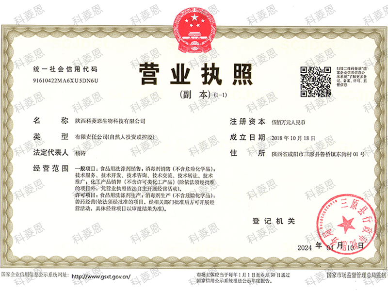 Business License