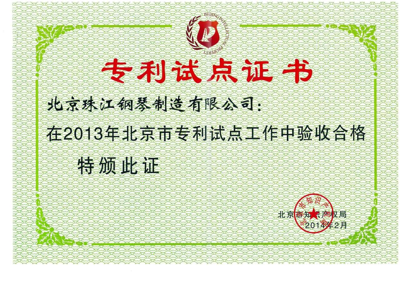 專利試點證書