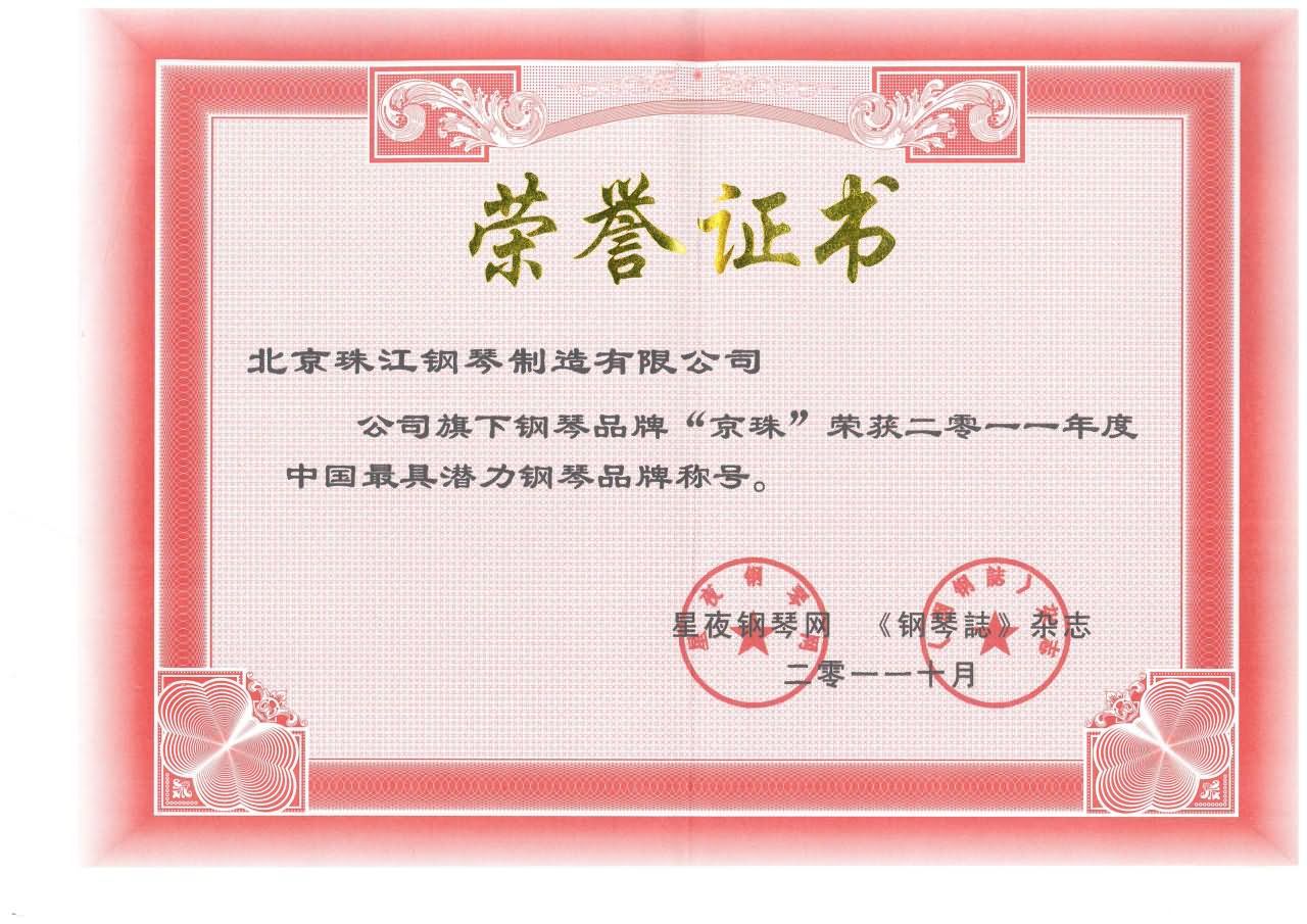2011年度中國最具潛力鋼琴品牌稱號