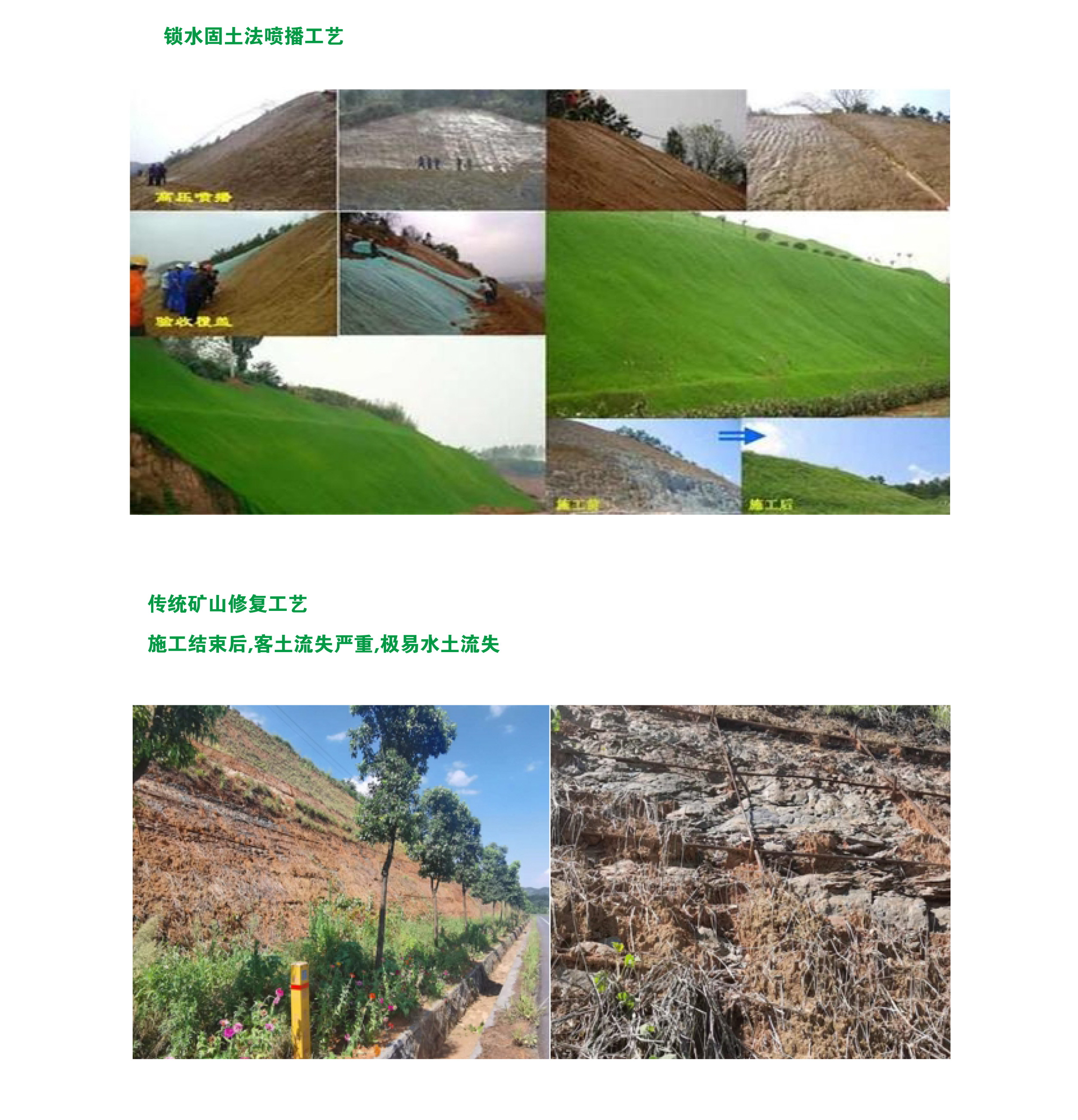 “保水法”國土覆綠植被化技術(shù)