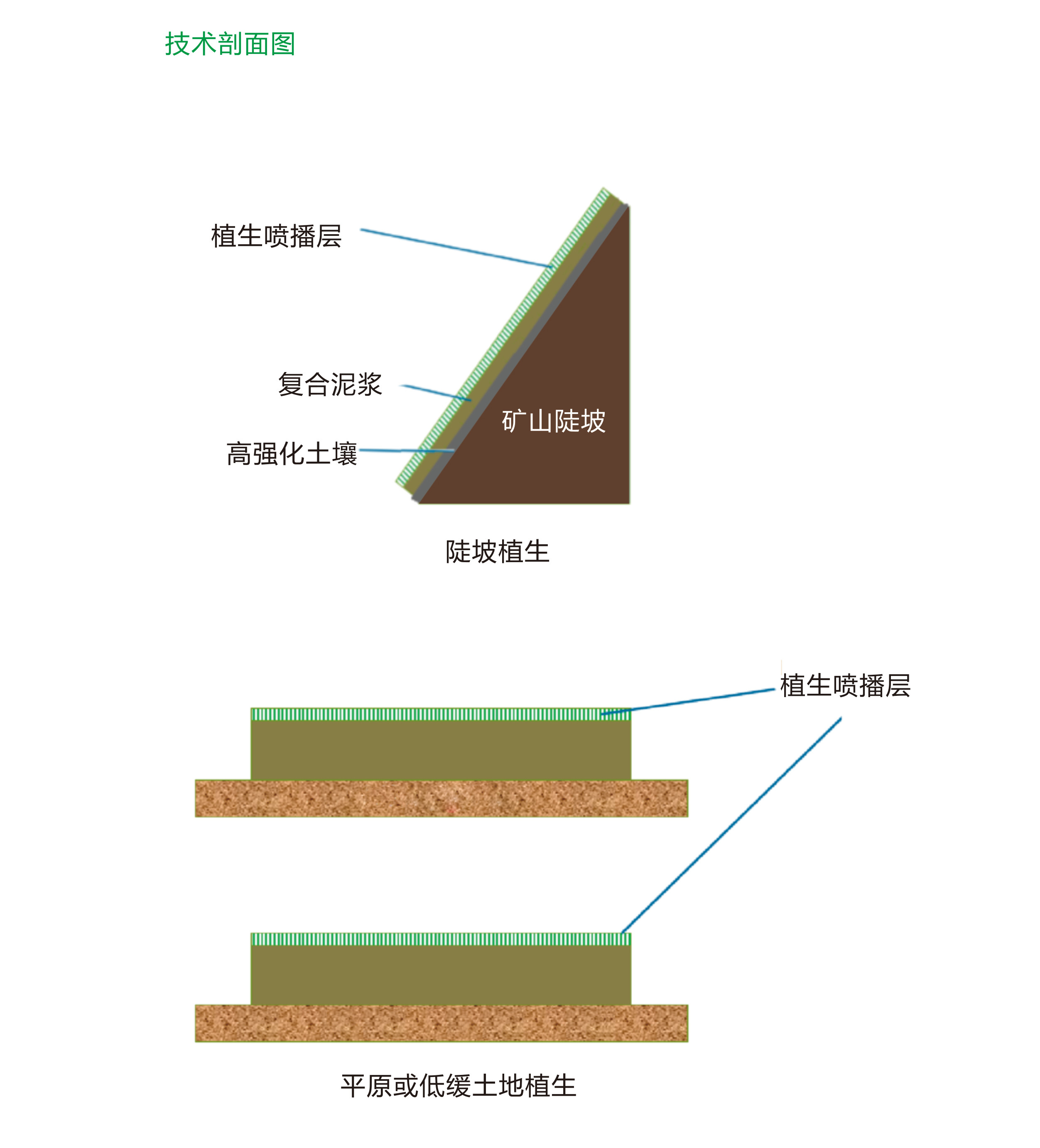 “保水法”國土覆綠植被化技術(shù)