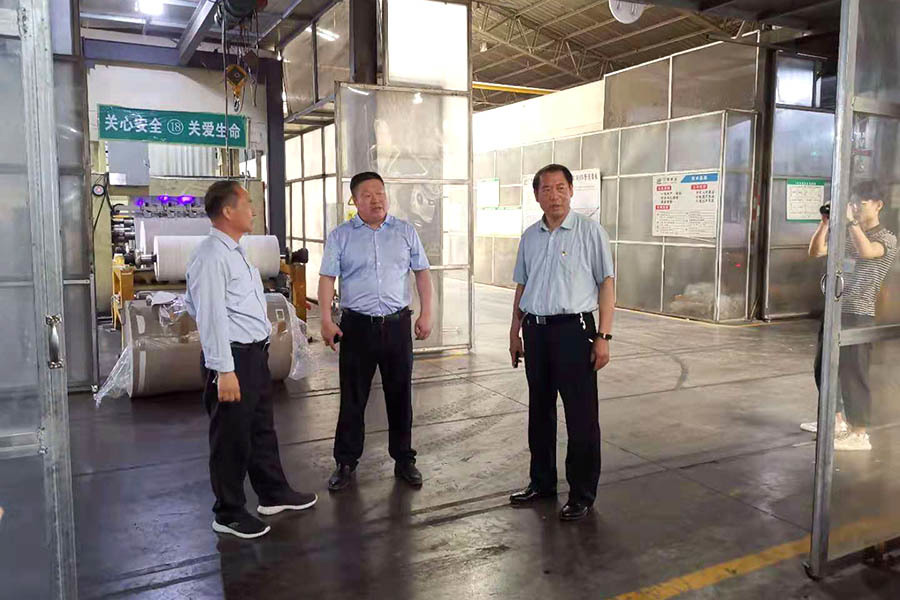 Lead inspection