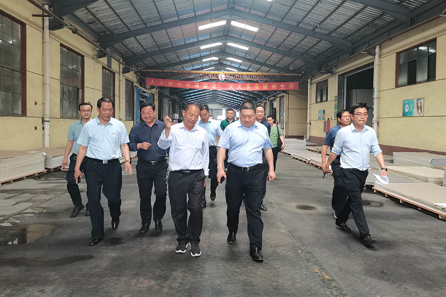 Lead inspection