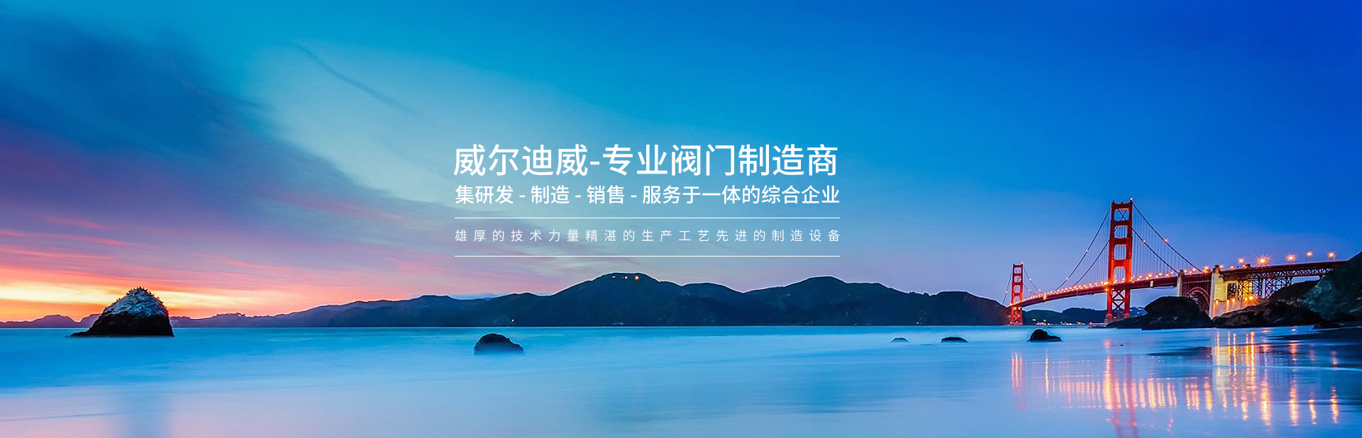 威爾迪
