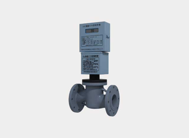 Ultrasonic Domestic Gas Meter