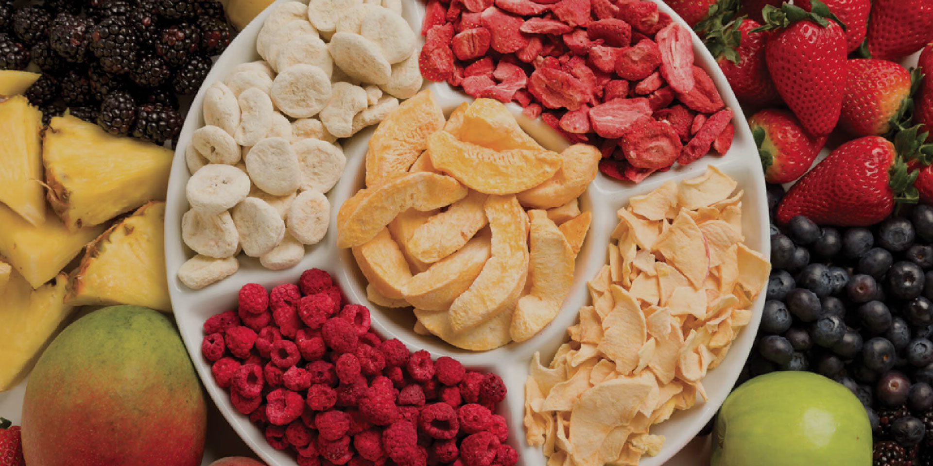 Global Leader in <br/> Freeze-Dried Food for <br/> Health & Wellness Industry