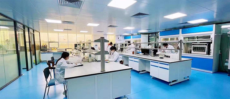 Strong Innovation Capability Strong Innovation Capability