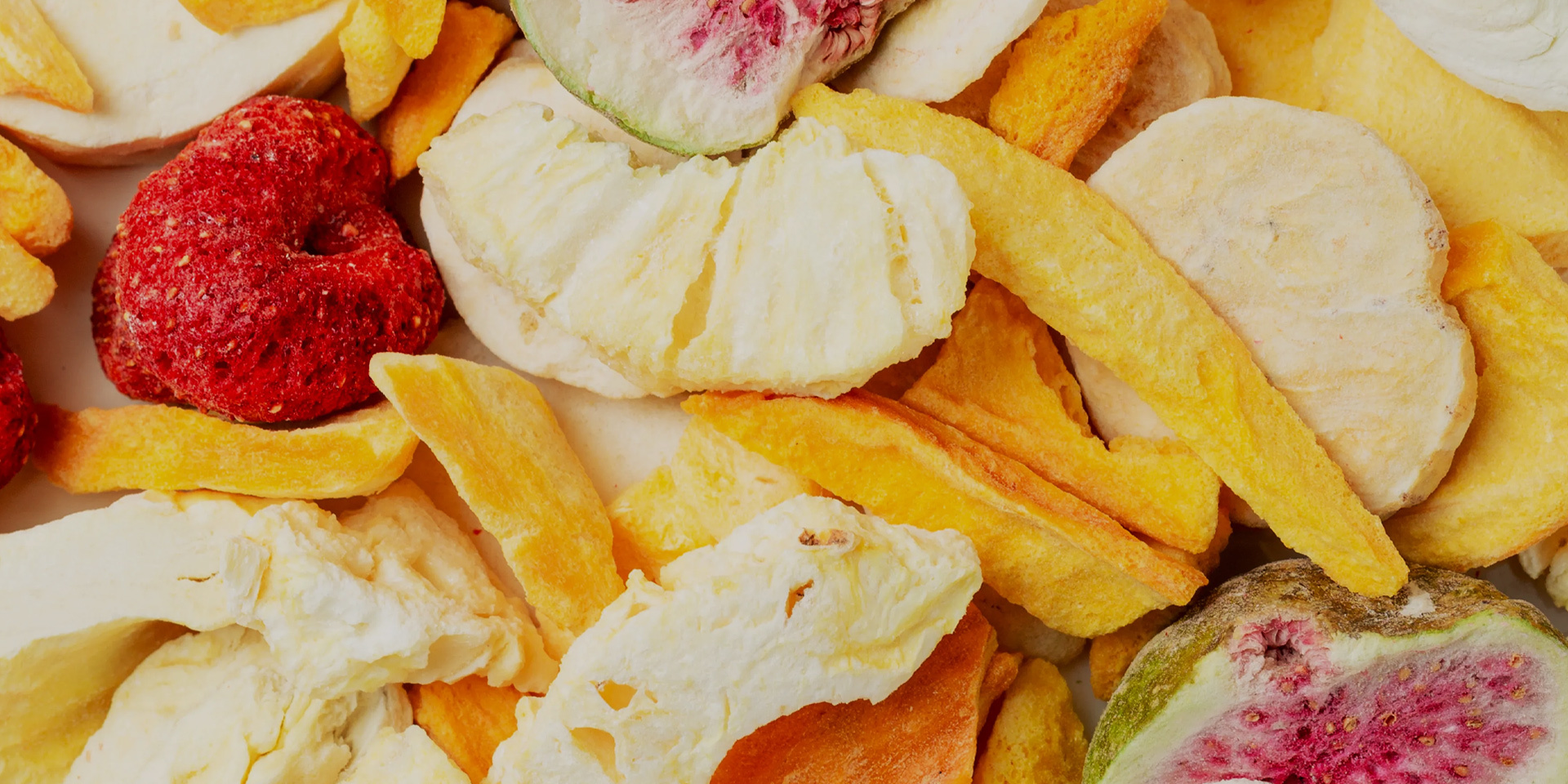 Dedicated to freeze-dried food and services