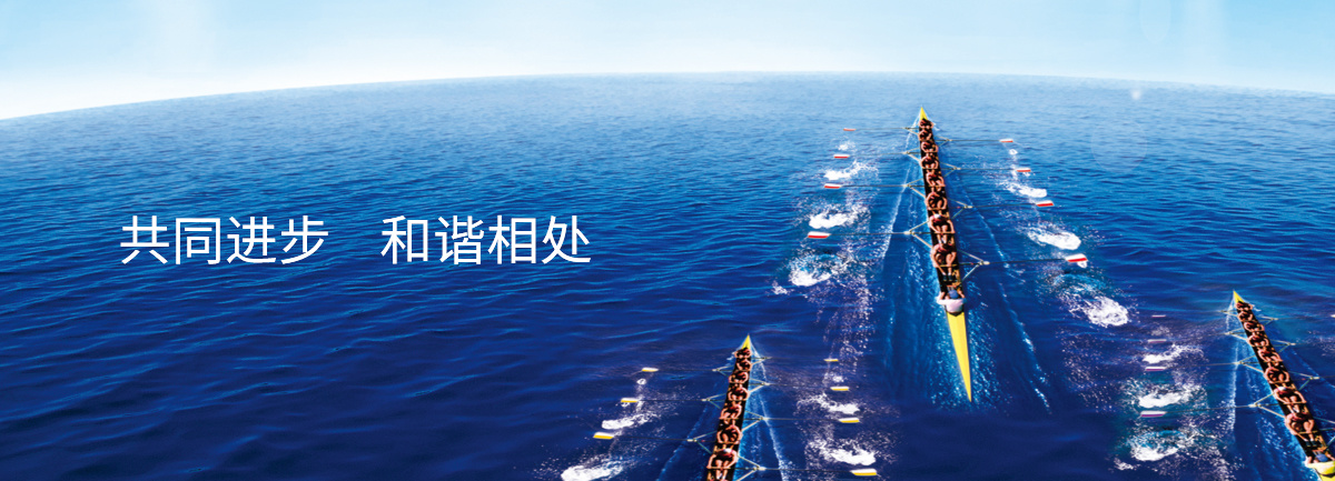 公司简介