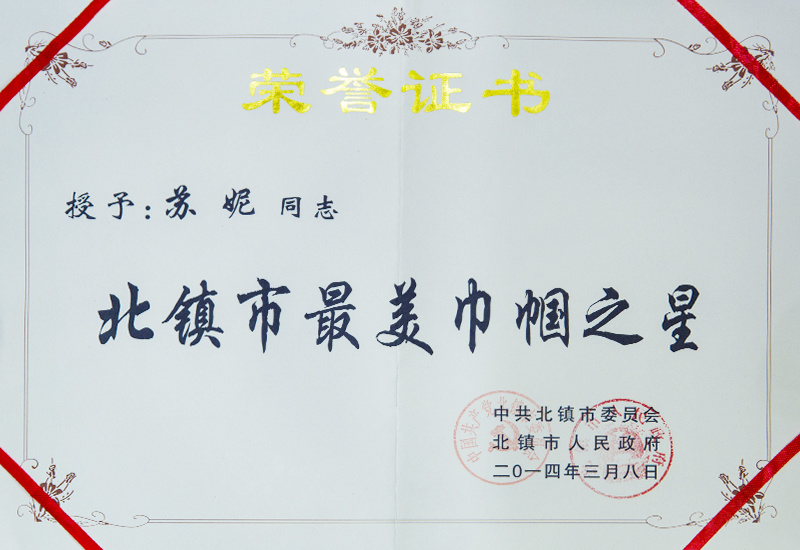 北鎮(zhèn)市最美巾幗之星