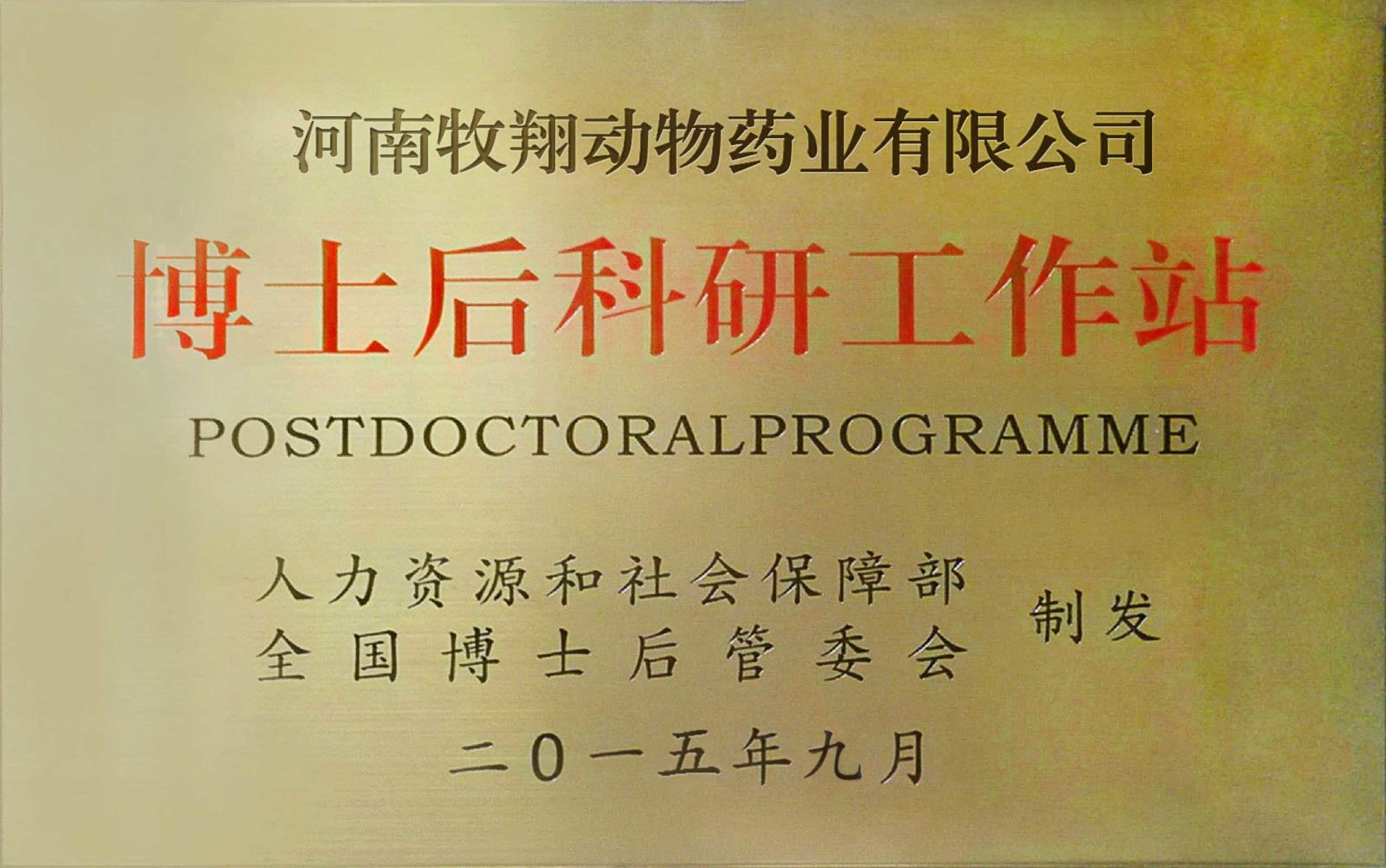 Postdoctoral Programme