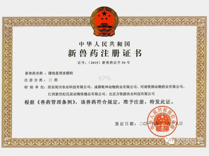蒲地蓝消炎颗粒