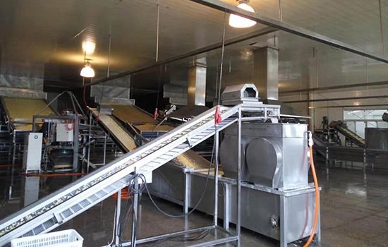 Cutting & Drying Cutting & Drying