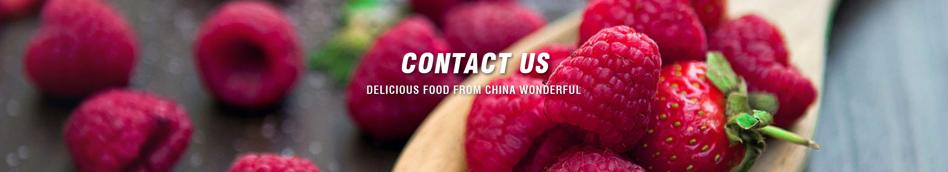 Contact Us