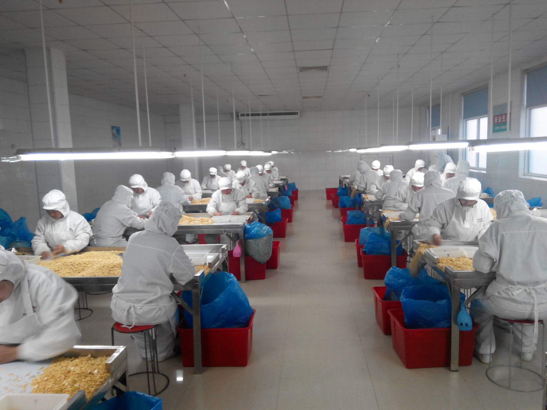 Hand Sorting Hand Sorting