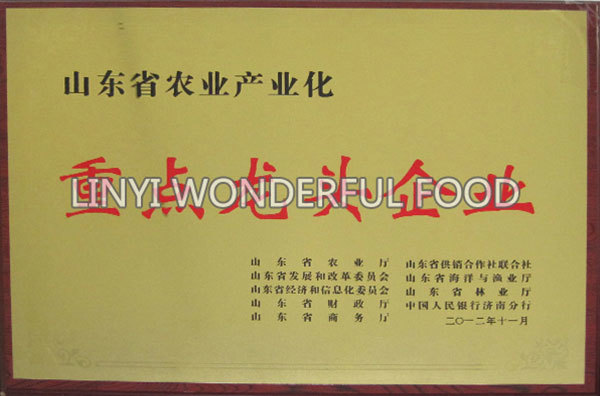 重点龙头企业 重点龙头企业