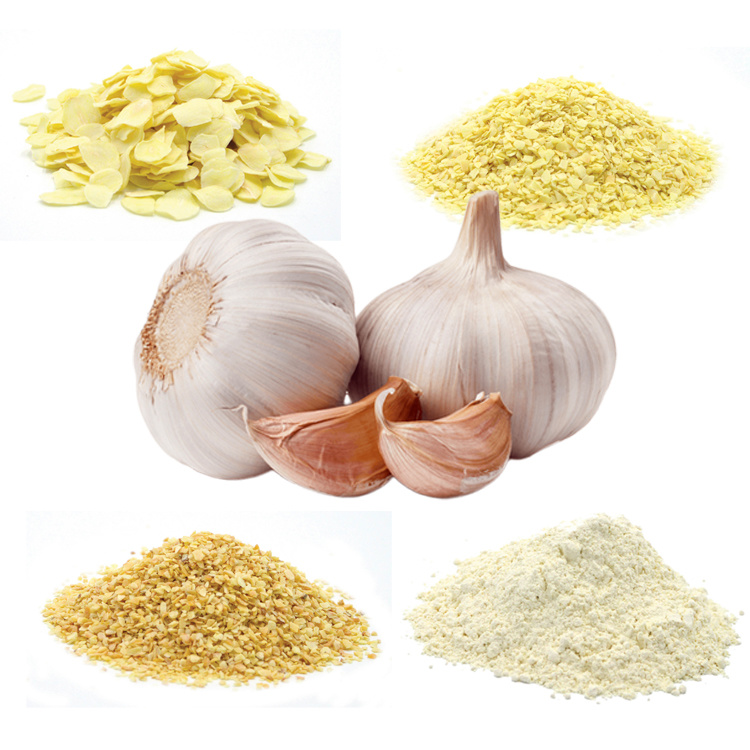 Organic garlic