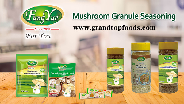 Granule Seasoning Manufacturer