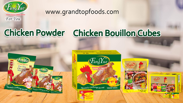 FungYue Chicken Seasoning Powder & Chicken Bouillon Cubes