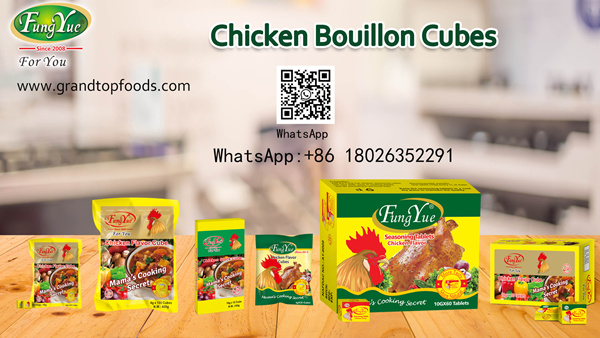 FungYue Flavor Seasoning Cube Manufacturer