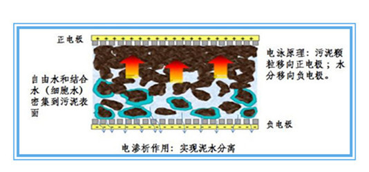 廣西鉅霖科技有限公司