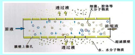廣西鉅霖科技有限公司