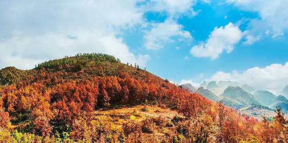 河池市宜州區(qū)屏南鄉(xiāng)板龍屯5T/H一體化凈水設備