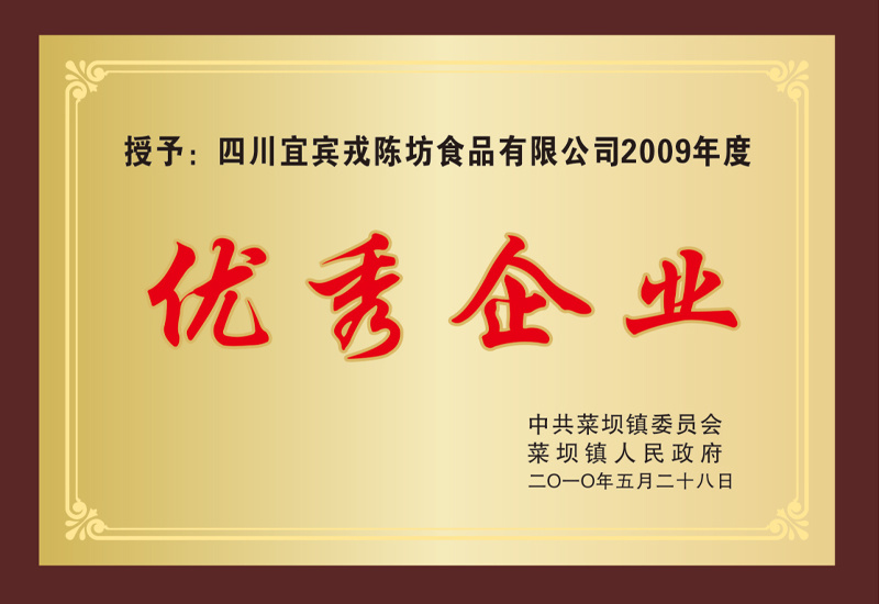 2009年度優(yōu)秀企業(yè)
