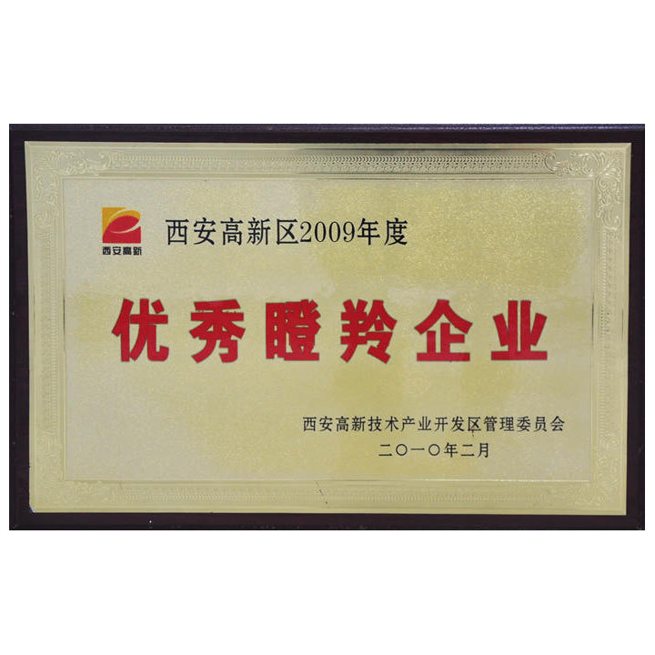 优秀瞪羚企业
