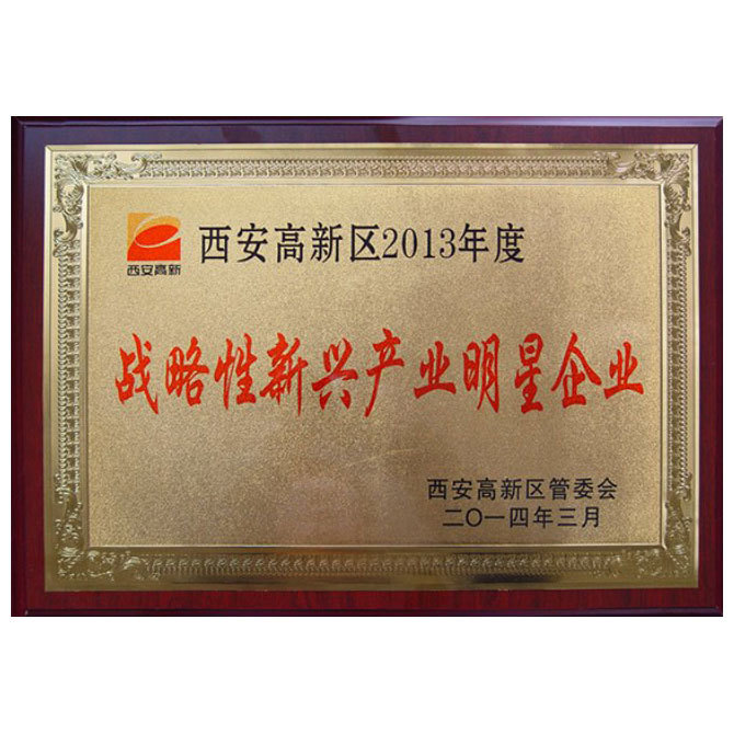 战略新兴企业明星