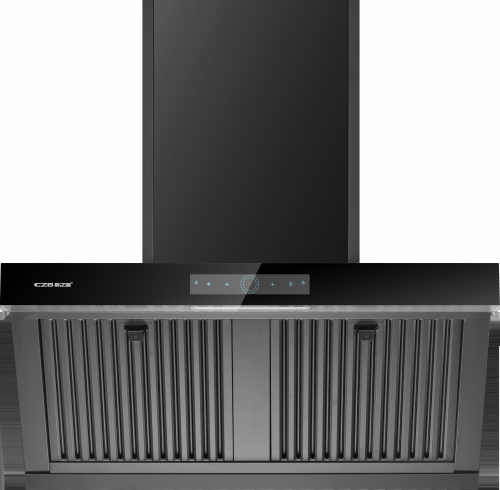 CXW-300-D310