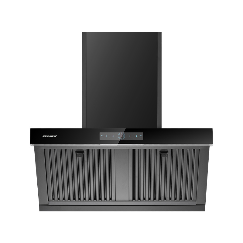CXW-300-D310