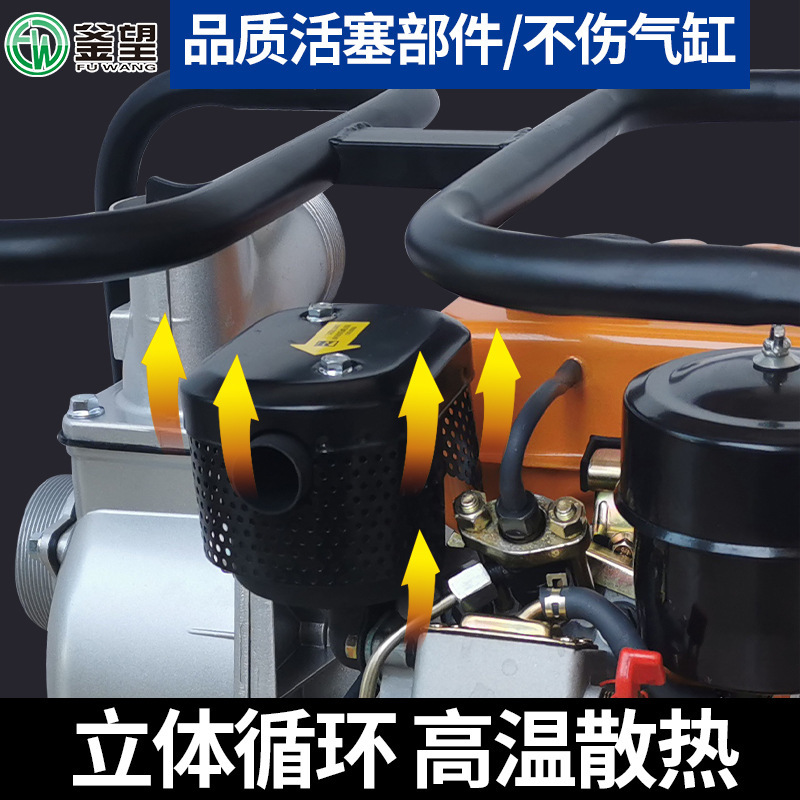 Portable diesel pump