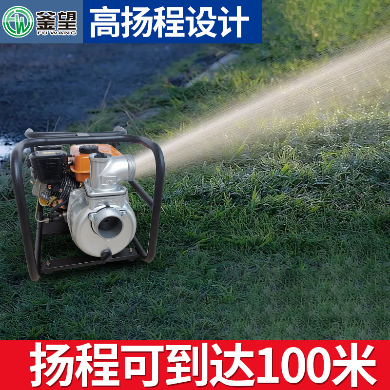 Portable diesel pump